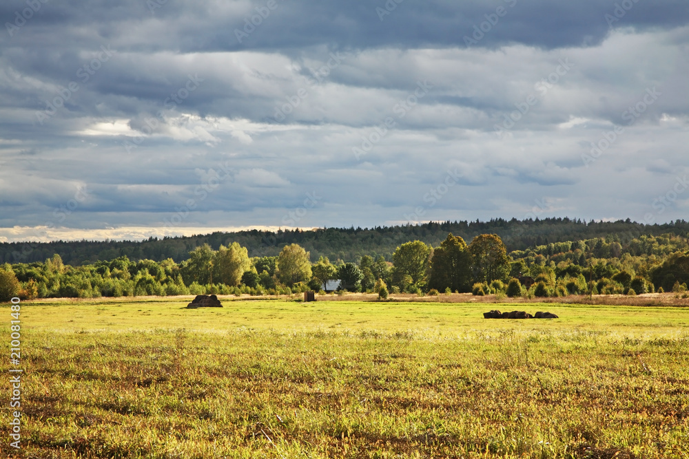 Landscape near Nikola-Lenivets village. Kaluga oblast. Russia