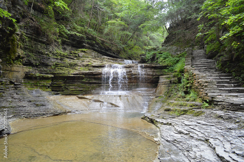 Forest Waterfall