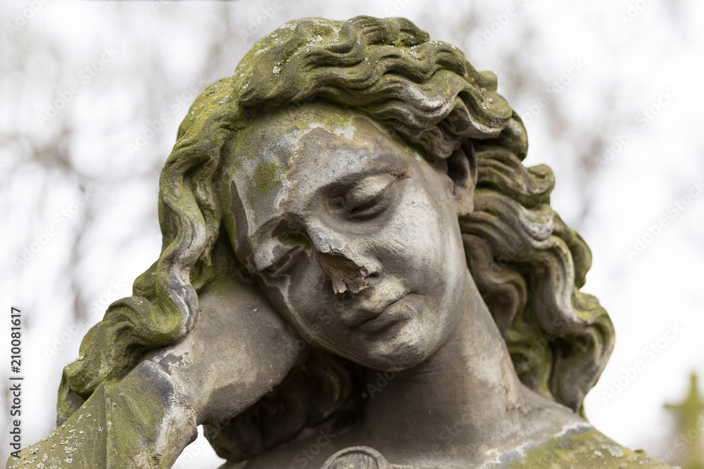 The Tombstone on the old Prague Cemetery Olsany, Czech Republic