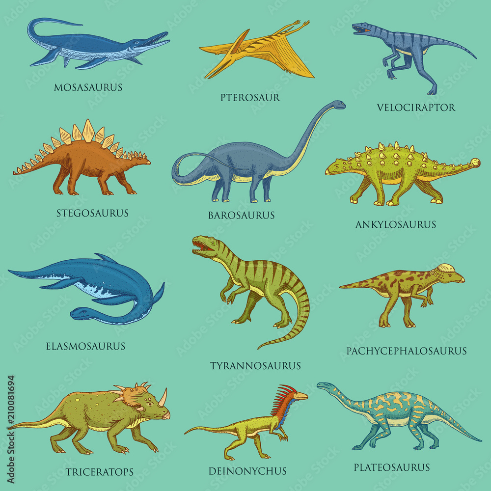 Dinosaurs set, jurassic animals. Prehistoric reptiles, Engraved hand