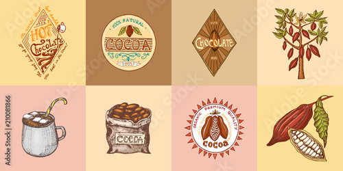 Cocoa and hot chocolate logos. modern vintage badges for the shop menu. Vector illustration. calligraphy style for frames, labels. . engraved hand drawn in old sketch.