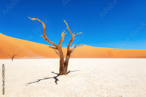 Dead Vlei in Naukluft National Park, Namibia, taken in January 2018