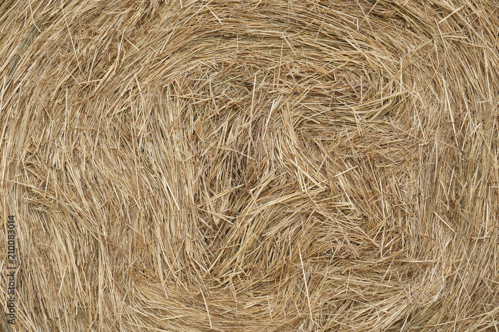 Close-up of bales of rolled hay. Close-up of bales of rolled hay.