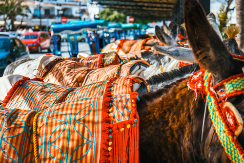 Close up of colorful decorated donkeys famous as Burro-taxi waiting for passengers in Mijas, a major tourist attraction. Andalusia, Spain