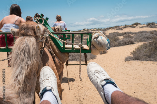 Foto en primera persona encima de una silla galopando un camello