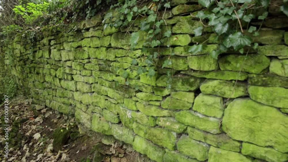 Typical Traditional Stone wall in England covered in moss Typical Traditional Stone wall in England covered in moss