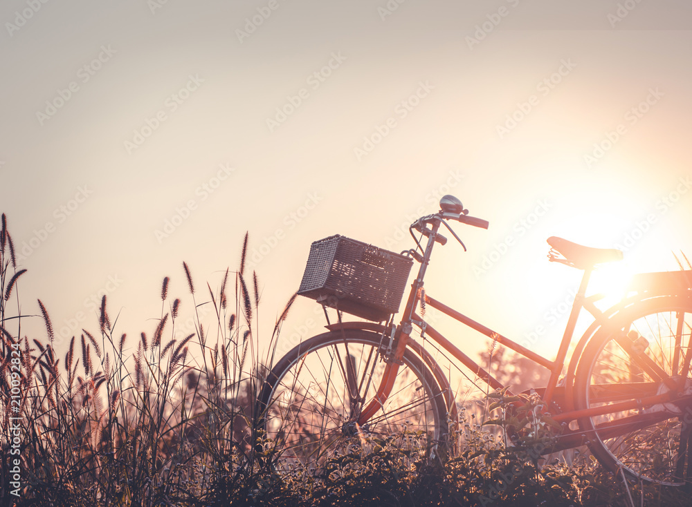 Fototapeta piękny obraz pejzaż z rowerem o zachodzie słońca na łące szklanego pola; sezon letni lub wiosenny tło