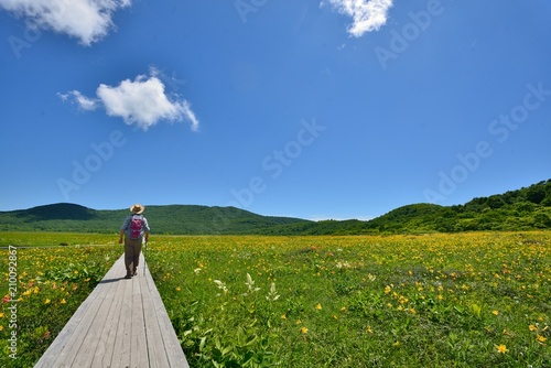 初夏の高原・花の湿原を歩く