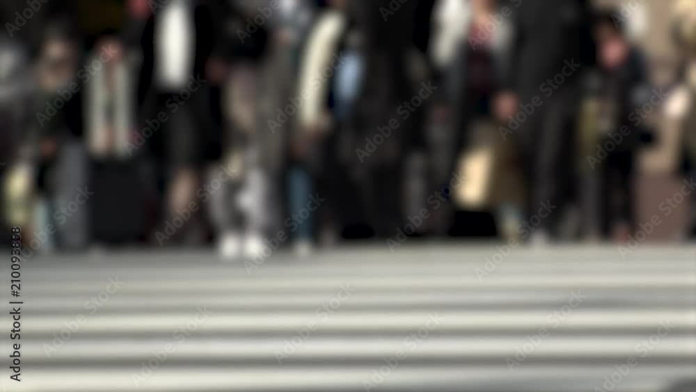 SHINJUKU, TOKYO, JAPAN - CIRCA MAY 2018 : Commuters and tourists at zebra crossing in front of SHINJUKU train station south gate side. In blurred. SHINJUKU, TOKYO, JAPAN - CIRCA MAY 2018 : Commuters and tourists at zebra crossing in front of SHINJUKU train station south gate side. In blurred.