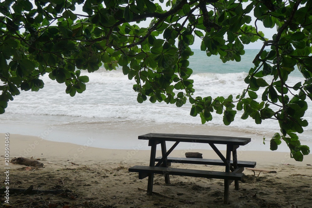 Wooden picnic branch on the sand beach placed in shade under huge branches of tropical tree Wooden picnic branch on the sand beach placed in shade under huge branches of tropical tree