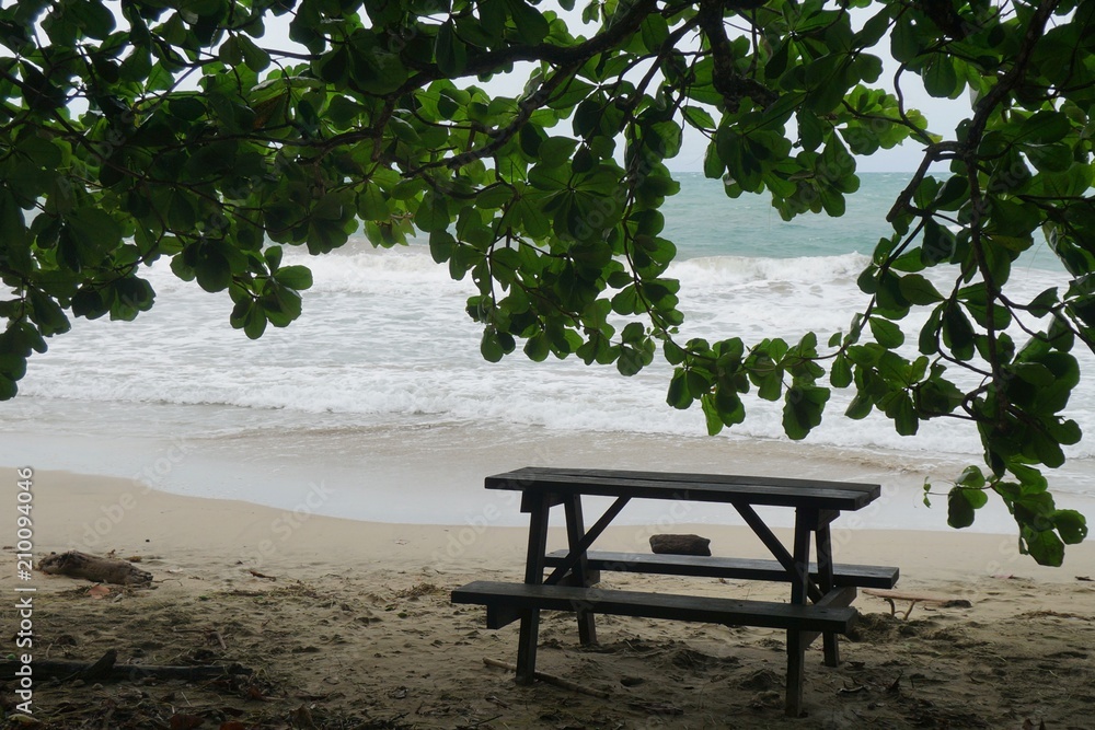 Wooden picnic branch on the sand beach placed in shade under huge branches of tropical tree