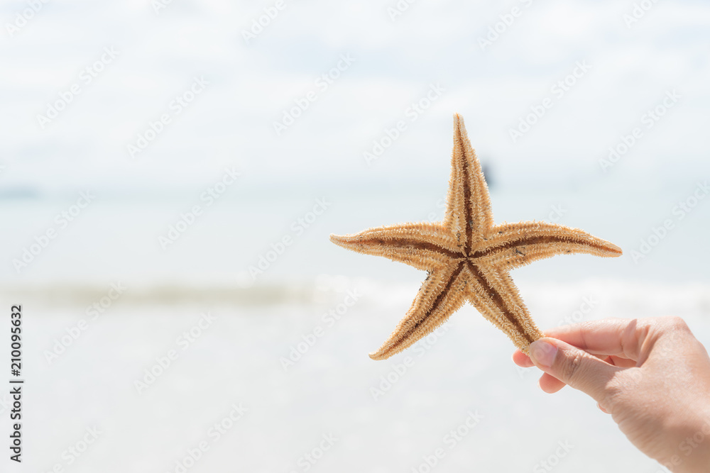woman hand holding starfish over sea and Sandy beach in background for summer holiday and vacation concept. woman hand holding starfish over sea and Sandy beach in background for summer holiday and vacation concept.