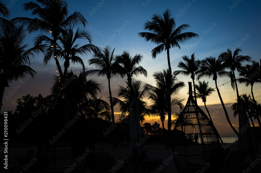 Coconut Tree Silhouettes at Sentosa Island During Sunset