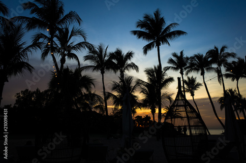 Coconut Tree Silhouettes at Sentosa Island During Sunset