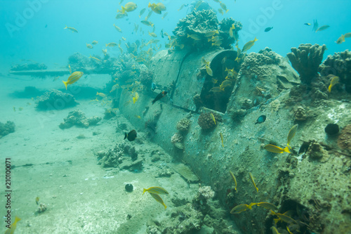 Historic plane wreck underwater in the ocean off Maui, Hawaii