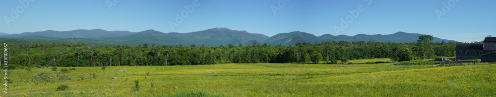 Fototapeta premium panoramic landscape of green mountain and forest