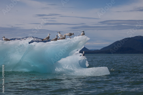 Beautiful iceberg nature's works of art