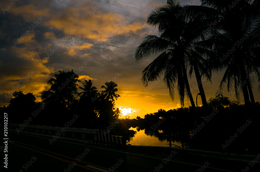Orange Island Sunrise, With Palm Tree Silhouettes - Philippines
