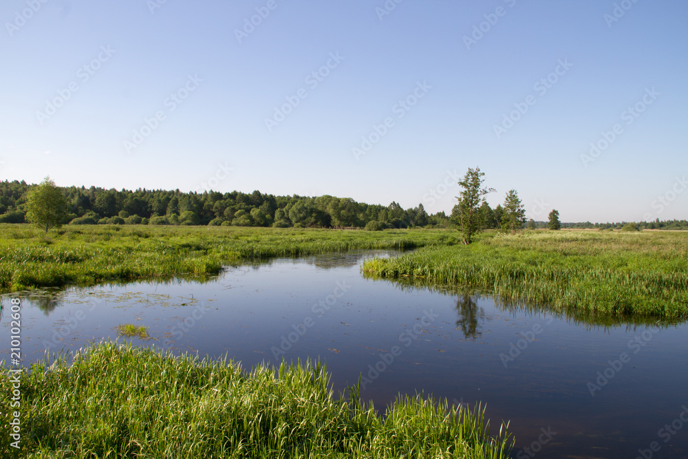 small European river on a summer sunny morning
