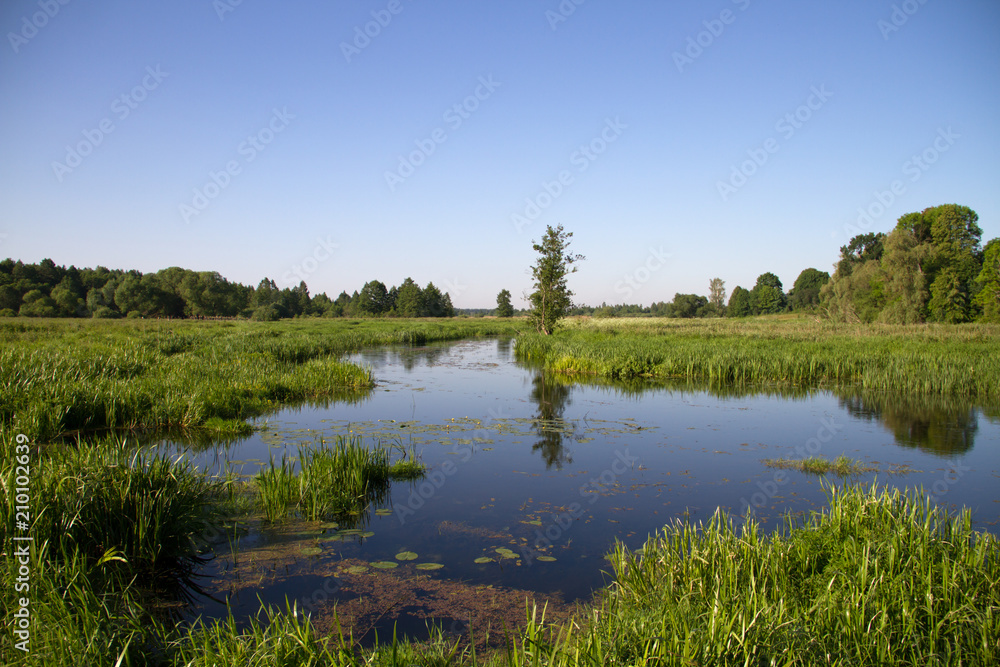 small European river on a summer sunny morning