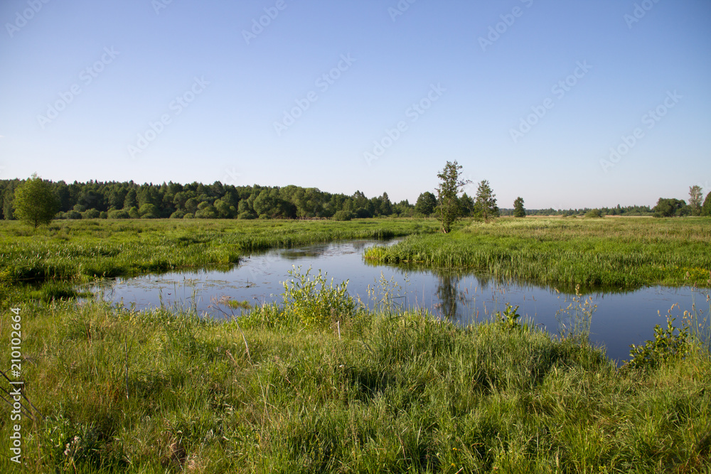 small European river on a summer sunny morning