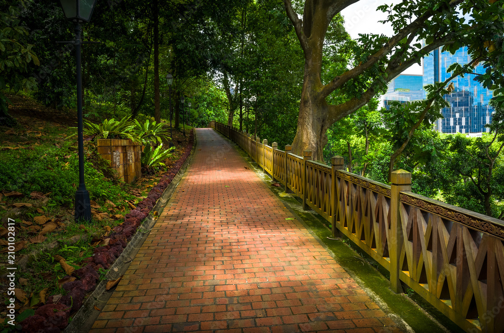 Stone walkway and wooden handrail through tropical forest in Singapore