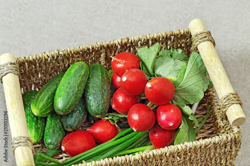 Fresh vegetables for vegetable salad. Tasty radishes, cucumbers, green onions in box. Organic products. Copy space. photo