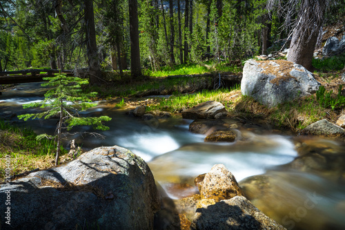 Beautiful Flowing Mountain Creek in Yosemite National Park