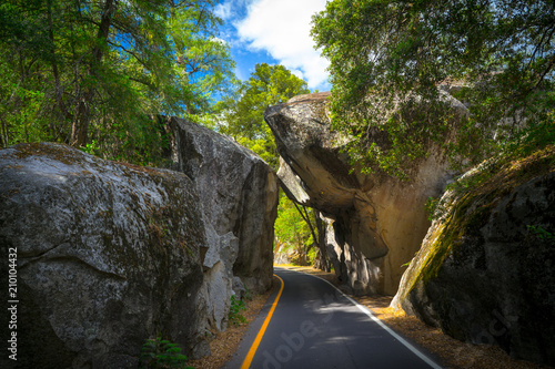 Road Passing Through Granite Arch Rock Entrance in Yosemite National Park photo