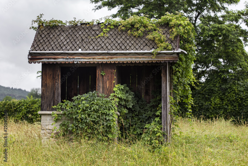 Old abandoned barn on the edge of the forest in summer Old abandoned barn on the edge of the forest in summer