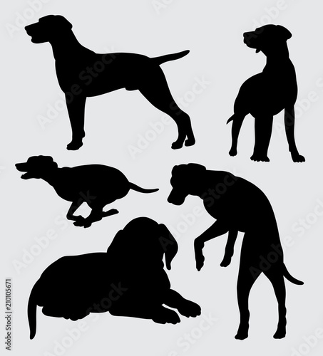 Mammal dog animal silhouette