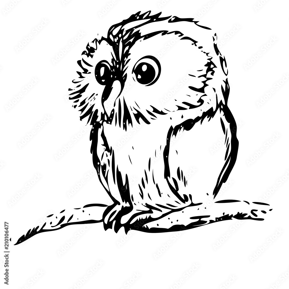 Fototapeta premium Vector illustration of an owl chick on a branch drawing an ink chart