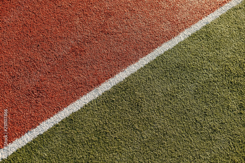 Grass background or Christmas background