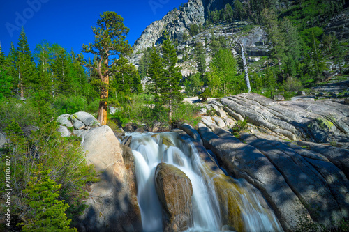Vászonkép Mountain Waterfall and Bristlecone Pine Tree - California