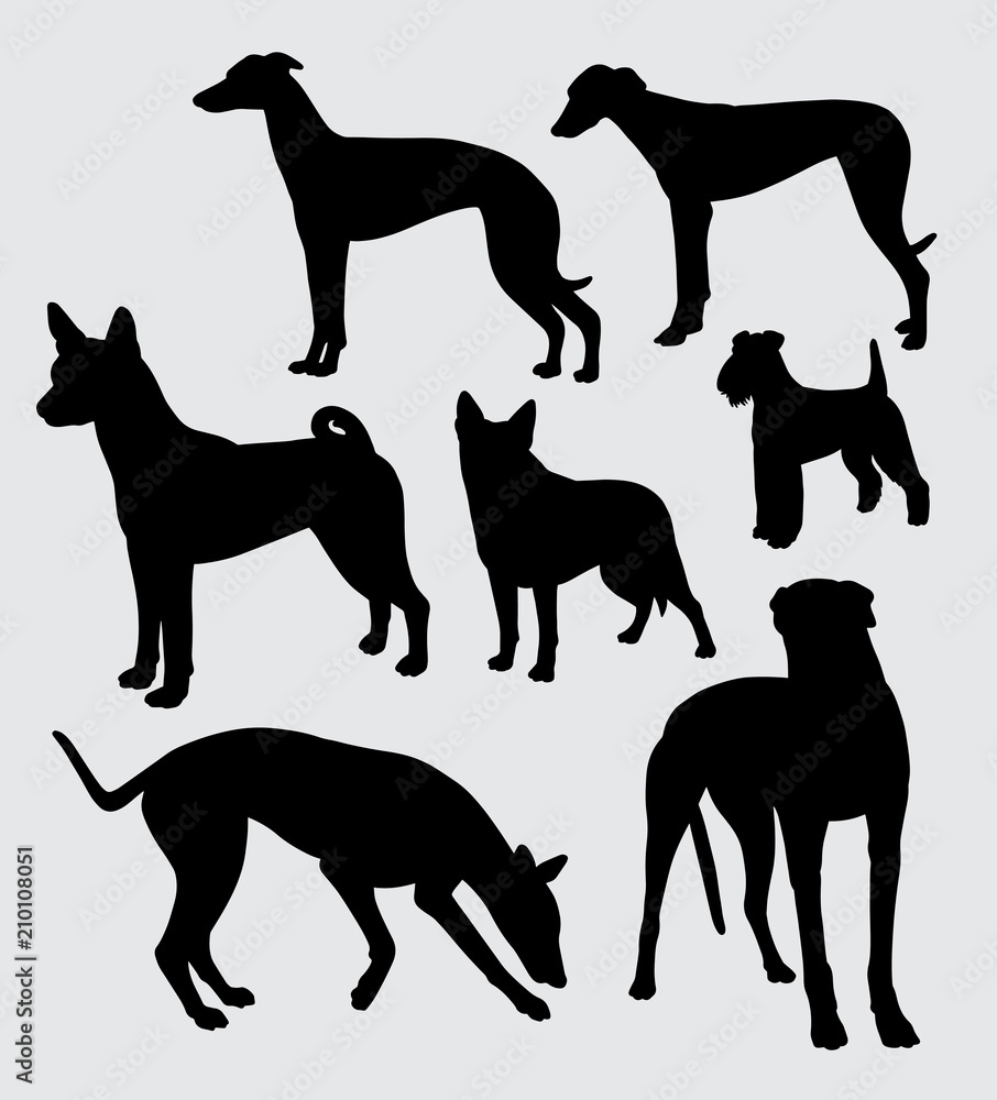 dog pet animal silhouette