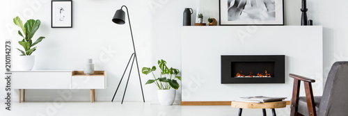 Wall with poster, decor and fireplace in bright living room interior with fresh green plants, black lamp next to cupboard and grey armchair