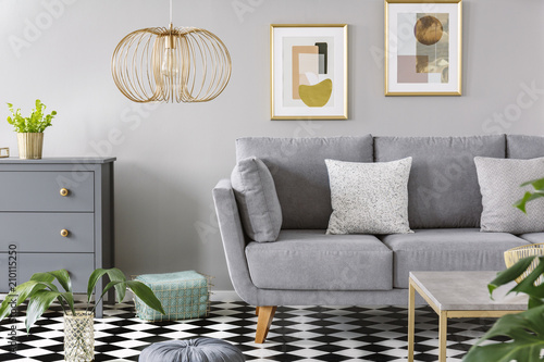 Two patterned cushions placed on grey sofa standing in bright living room interior with fresh plants, wooden cupboard, gold lamp and two simple posters on the wall