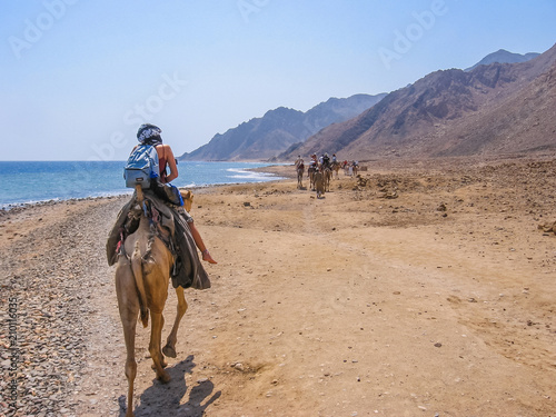 tourists on camels ride with Bedouins along the coast of the golden city famous for its sunsets and Blue Hole. Dahab, Red Sea, Sinai Peninsula, Egypt .