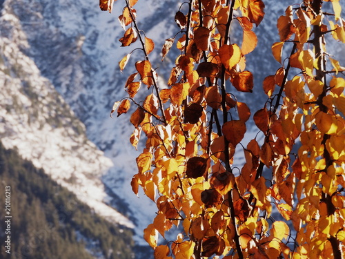 Winter and Autumn of Kinnaur photo