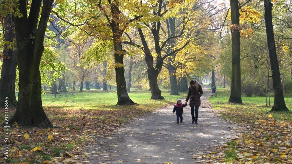 Family, young mother and child son enjoy walking in autumn park nature holding hands Family, young mother and child son enjoy walking in autumn park nature holding hands