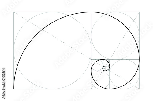 Golden ratio. Fibonacci number. Circles in golden proportion. Geometric shapes. Abstract vector background. Vector  photo