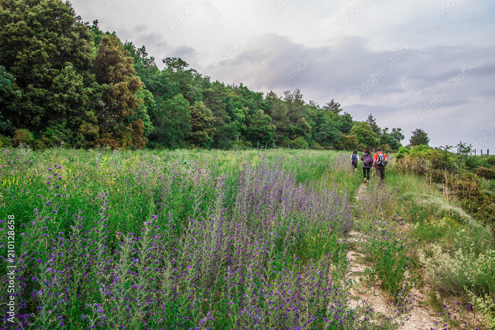 Fototapeta premium Famous hiking destination in the Montseny Natural Park, Barcelona, Catalonia, Spain