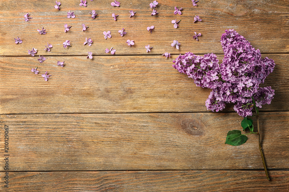 Composition with blossoming lilac on wooden background Composition with blossoming lilac on wooden background