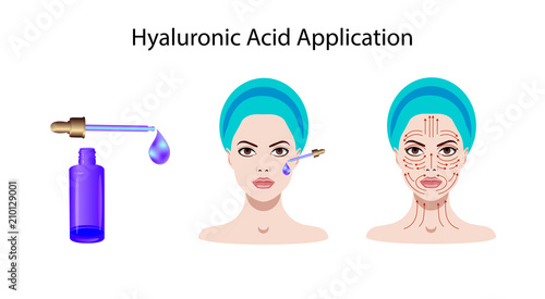 Cosmetic application of hyaluronic acid. Vector