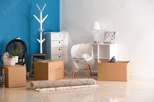 Carton boxes and interior i...