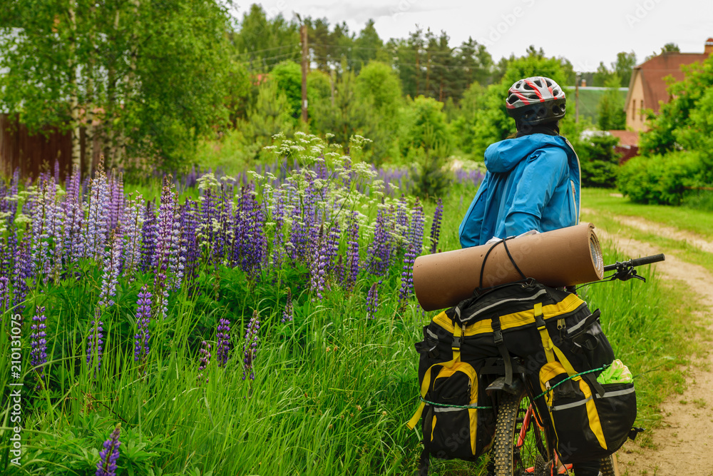 Φωτογραφία Bicyclist on the country road near field of lupines