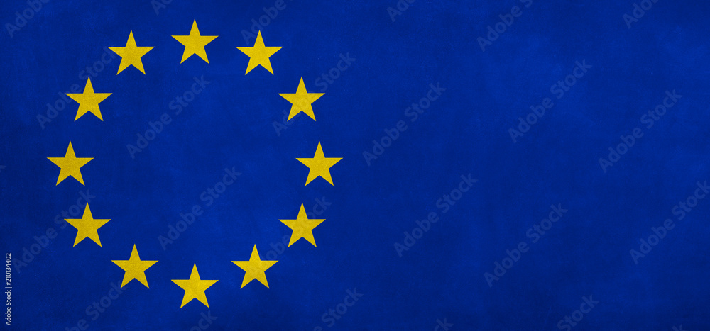 EU Flag EU Flag