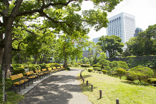 Fototapeta Naklejka Na Ścianę i Meble -  Landscape in Hibiya park