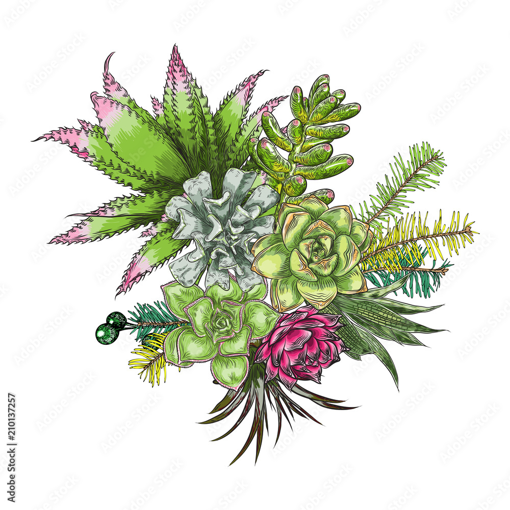 Flowers bouquet. Floral collection with various exotic jungle plants. Air plant, cactus, succulent, Bromelia, aloe vera, Houseplant, roses. For wedding and women day cards design purpose. Vector.