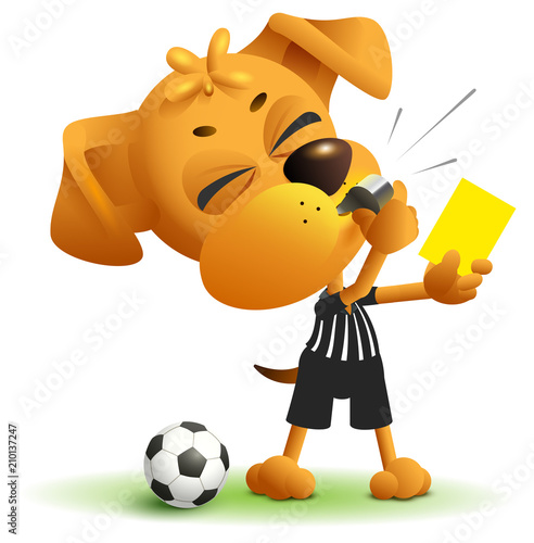 Referee dog shows yellow card. Violation of rules when playing soccer